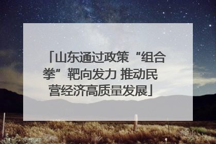 山东通过政策“组合拳”靶向发力 推动民营经济高质量发展