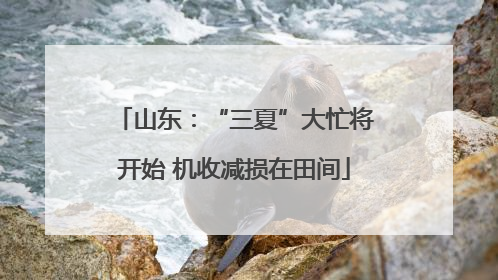 山东：“三夏”大忙将开始 机收减损在田间