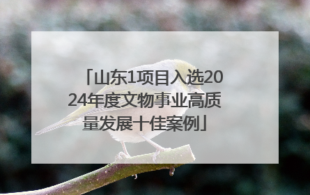 山东1项目入选2024年度文物事业高质量发展十佳案例