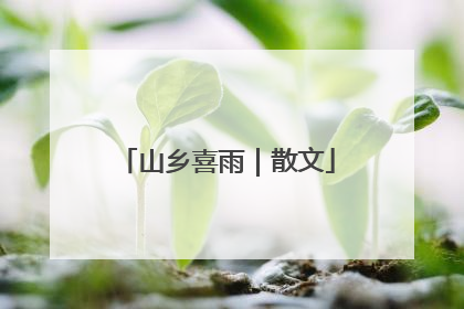 山乡喜雨｜散文