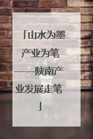 山水为墨 产业为笔——陕南产业发展走笔