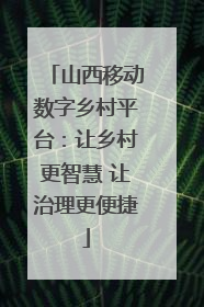 山西移动数字乡村平台：让乡村更智慧 让治理更便捷