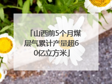 山西前5个月煤层气累计产量超60亿立方米