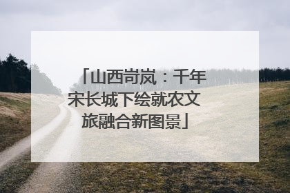 山西岢岚：千年宋长城下绘就农文旅融合新图景