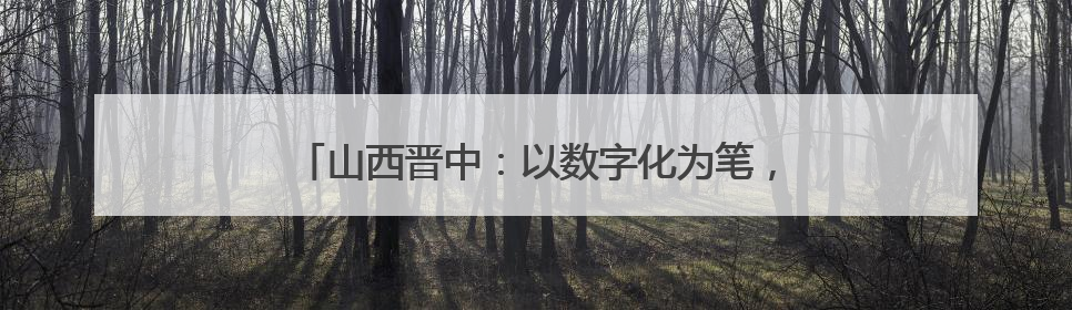 山西晋中：以数字化为笔，绘就“全域智治”新图景