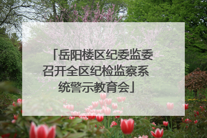 岳阳楼区纪委监委召开全区纪检监察系统警示教育会