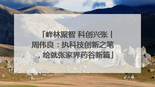 峰林聚智 科创兴张丨周伟良：执科技创新之笔，绘就张家界药谷新篇