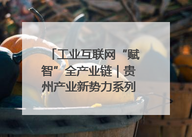 工业互联网“赋智”全产业链｜贵州产业新势力系列报道之八