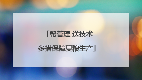 帮管理 送技术 多措保障夏粮生产