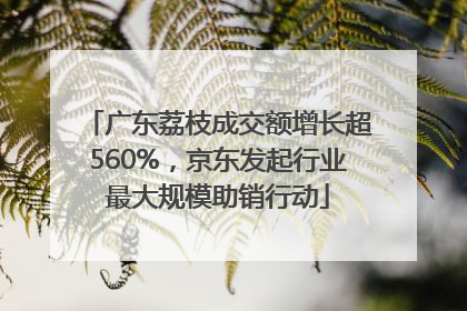 广东荔枝成交额增长超560%，京东发起行业最大规模助销行动