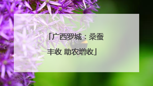 广西罗城：桑蚕丰收 助农增收
