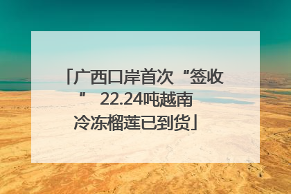 广西口岸首次“签收” 22.24吨越南冷冻榴莲已到货