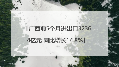 广西前5个月进出口3236.4亿元 同比增长14.8%