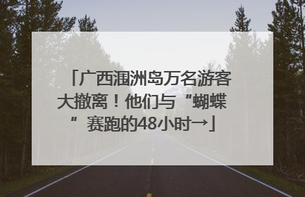 广西涠洲岛万名游客大撤离！他们与“蝴蝶”赛跑的48小时→