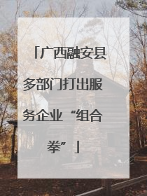 广西融安县多部门打出服务企业“组合拳”