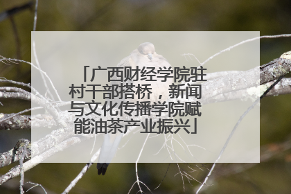 广西财经学院驻村干部搭桥，新闻与文化传播学院赋能油茶产业振兴
