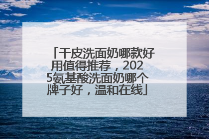 干皮洗面奶哪款好用值得推荐，2025氨基酸洗面奶哪个牌子好，温和在线