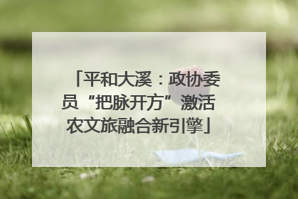 平和大溪：政协委员“把脉开方”激活农文旅融合新引擎