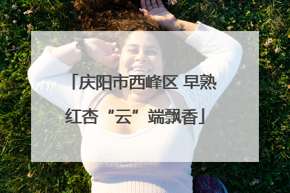 庆阳市西峰区 早熟红杏“云”端飘香
