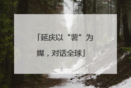 延庆以“薯”为媒，对话全球