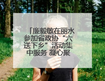 廉毅敏在丽水参加省政协“六送下乡”活动集中服务 凝心聚力增进民生福祉推进共同富裕