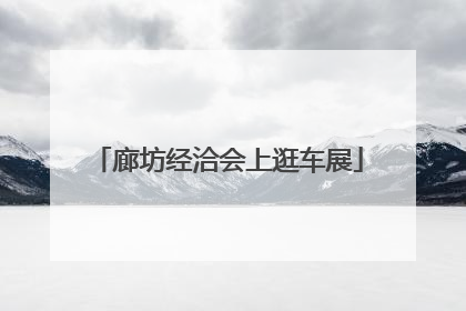 廊坊经洽会上逛车展