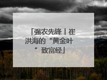 强农先锋丨崔洪海的“黄金叶”致富经