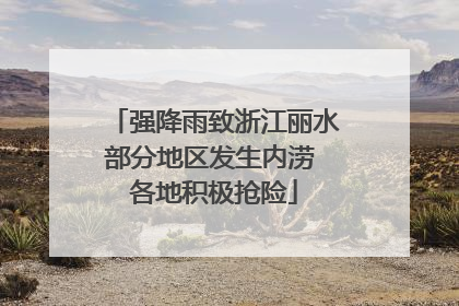 强降雨致浙江丽水部分地区发生内涝 各地积极抢险