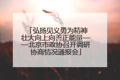 弘扬见义勇为精神 壮大向上向善正能量——北京市政协召开调研协商情况通报会