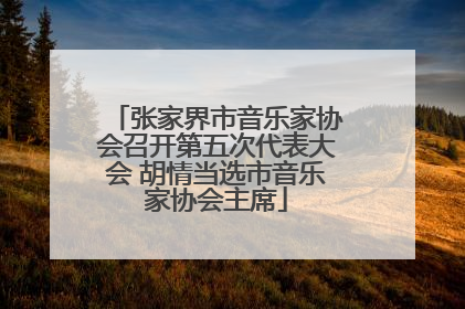 张家界市音乐家协会召开第五次代表大会 胡情当选市音乐家协会主席