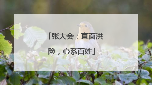 张大会：直面洪险，心系百姓