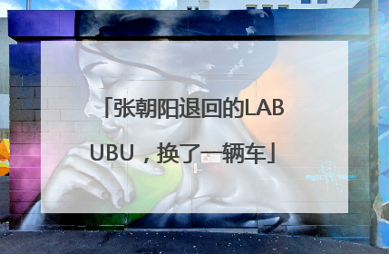 张朝阳退回的LABUBU，换了一辆车