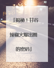 揭秘！甘谷辣椒火爆出圈的密码