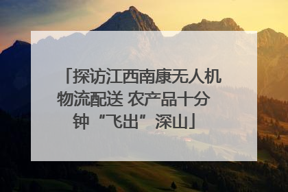 探访江西南康无人机物流配送 农产品十分钟“飞出”深山
