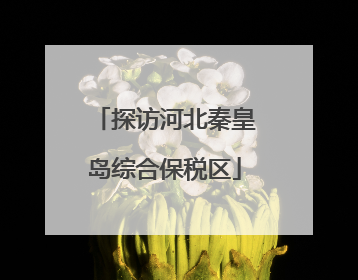 探访河北秦皇岛综合保税区