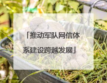 推动军队网信体系建设跨越发展