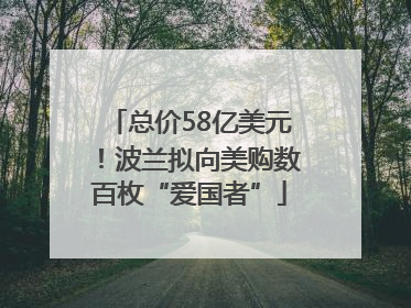 总价58亿美元！波兰拟向美购数百枚“爱国者”