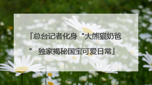 总台记者化身“大熊猫奶爸” 独家揭秘国宝可爱日常
