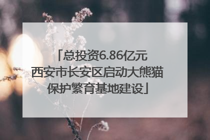 总投资6.86亿元 西安市长安区启动大熊猫保护繁育基地建设