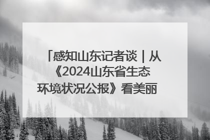感知山东记者谈｜从《2024山东省生态环境状况公报》看美丽山东建设的“成绩单”与“任务书”