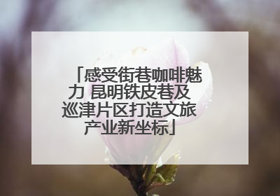 感受街巷咖啡魅力 昆明铁皮巷及巡津片区打造文旅产业新坐标