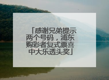 感谢兄弟提示两个号码，浦东购彩者复式票喜中大乐透头奖