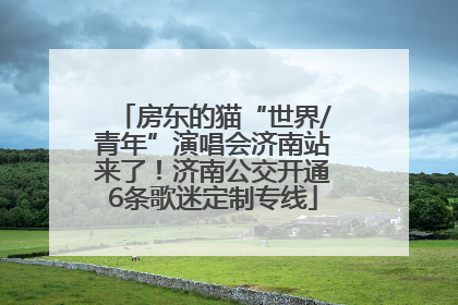 房东的猫“世界/青年”演唱会济南站来了！济南公交开通6条歌迷定制专线