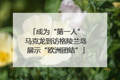 成为“第一人” 马克龙到访格陵兰岛展示“欧洲团结”