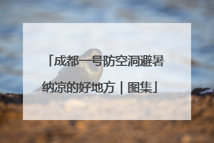 成都一号防空洞避暑纳凉的好地方｜图集