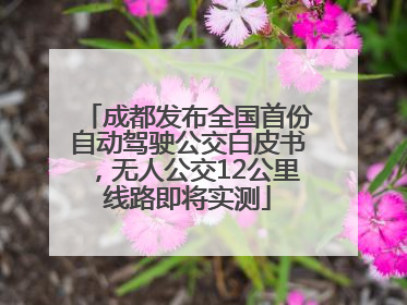 成都发布全国首份自动驾驶公交白皮书，无人公交12公里线路即将实测