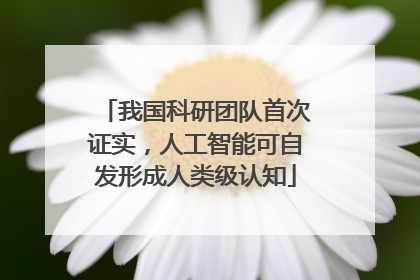 我国科研团队首次证实，人工智能可自发形成人类级认知