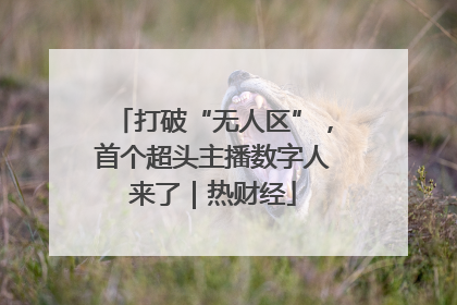 打破“无人区”，首个超头主播数字人来了｜热财经