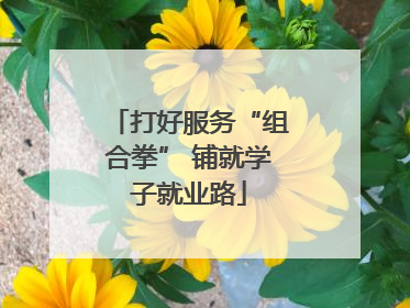 打好服务“组合拳” 铺就学子就业路
