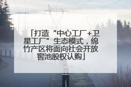 打造“中心工厂+卫星工厂”生态模式，绵竹产区将面向社会开放窖池股权认购